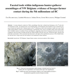 14-2022, tome 119, 4, p.605-633 - Halbrucker E., Messiaen L. Denis S., Meylemans E., Cromb P. (2022)  Faceted tools within indigenous hunter-gatherer assemblages of NW Belgium: evidence of forager-farmer contact during the 5th millennium cal BC