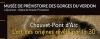 Chauvet-Pont d'Arc. L'art des origines rvl par la 3D