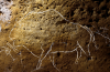 Grotte orne de Fronsac : opration archologique programme