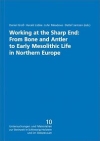 Working at the sharp end at Hohen Viecheln: from bone and antler to Early Mesolithic life in Northern Europe / Daniel Gro, Harald Lbke, John Meadows & Detlef Jantzen (2019)