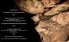 Provenance des matires colorantes dans le contexte des grottes ornes des Gorges de lArdche / Claire Chanteraud