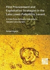 Flint Procurement and Exploitation Strategies in the Late Lower Paleolithic Levant / Aviad Agam (2021)